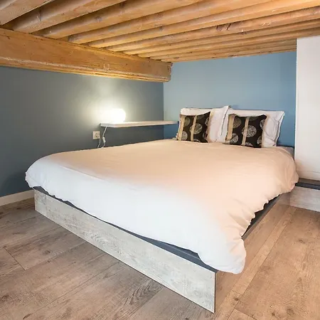 Apartment Duplex In Croix-rousse By Guestready *