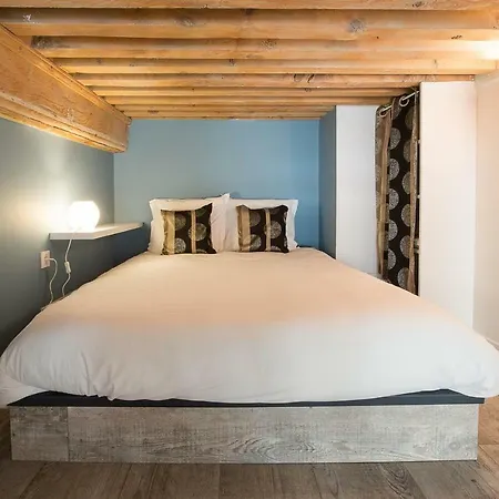 Apartment Duplex In Croix-rousse By Guestready